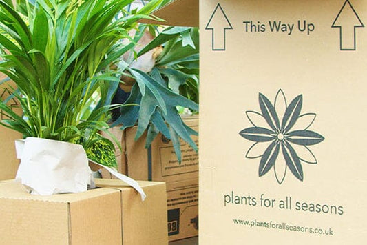 Our Values: Innovative and Eco-Friendly Packaging