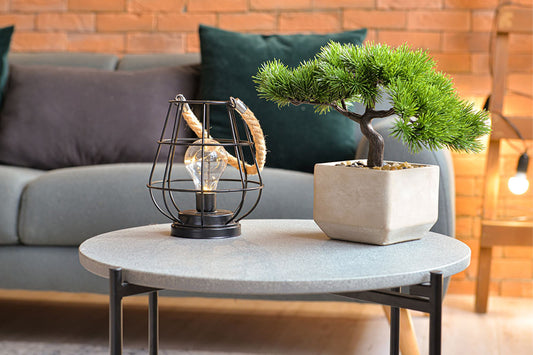 What are Bonsai plants?