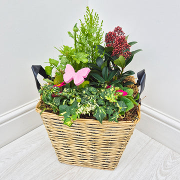 Mothers Day Planted Woven Basket (Pre Order)