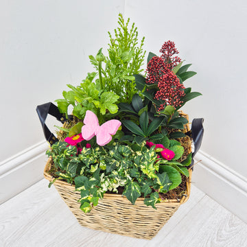 Mothers Day Planted Woven Basket (Pre Order)