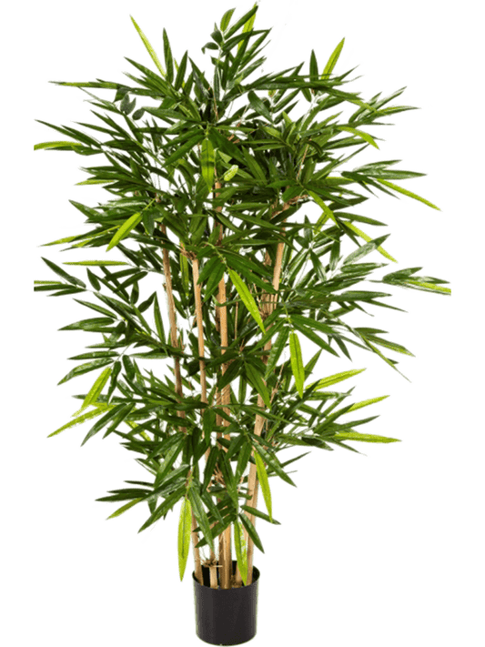 Bamboo Artificial Plant Premium Faux 180cm Height