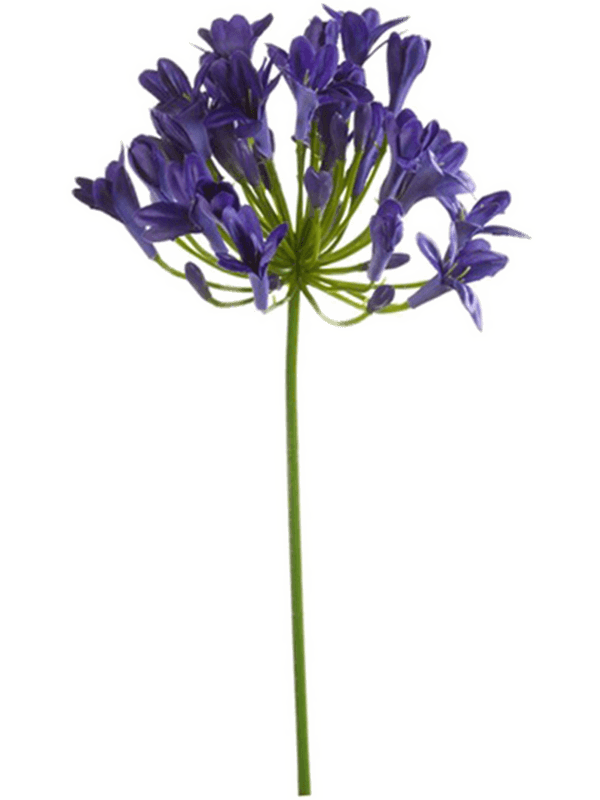 Agapanthus Artificial Plant Premium Faux 75cm Height