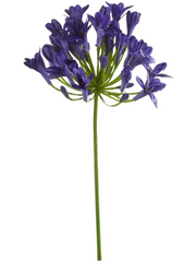 Agapanthus Artificial Plant Premium Faux 75cm Height