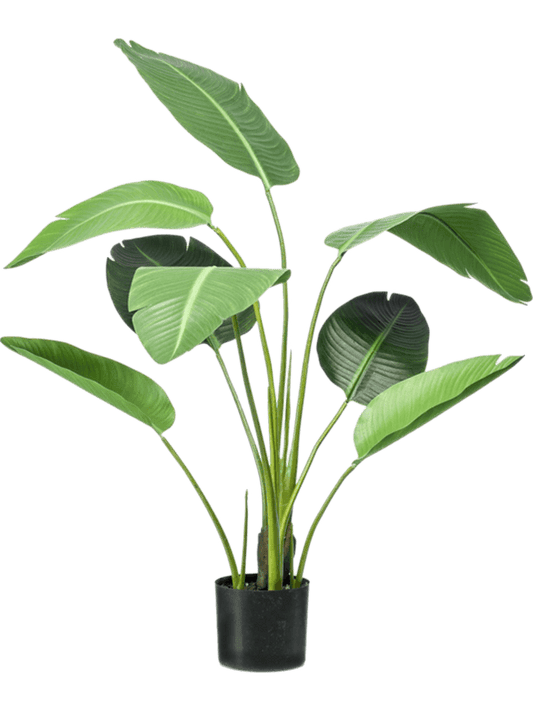 Strelitzia Artificial Plant Premium Faux 120cm Height