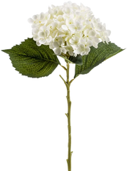 Hydrangea Annabelle Artificial Plant Premium Faux 52cm Height