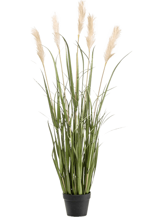 Grass Pampas Artificial Plant Premium Faux 130cm Height