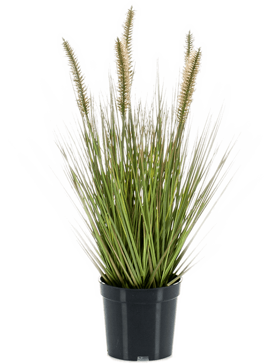 Grass Pennisetum Artificial Plant Premium Faux 45cm Height