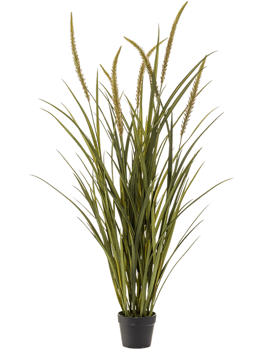 Grass Foxtail Artificial Plant Premium Faux 130cm Height