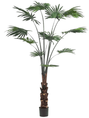 Palm Livistona Artificial Plant Premium Faux 180cm Height