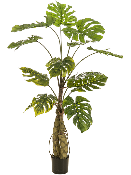 Monstera On Trunk Artificial Plant Premium Faux 150cm Height