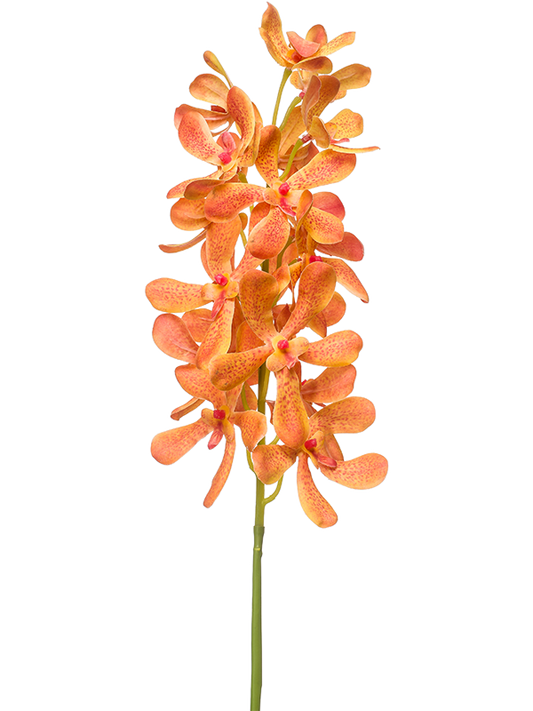 Vanda Artificial Plant Premium Faux 80cm Height