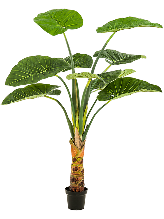 Alocasia Artificial Plant Premium Faux 160cm Height