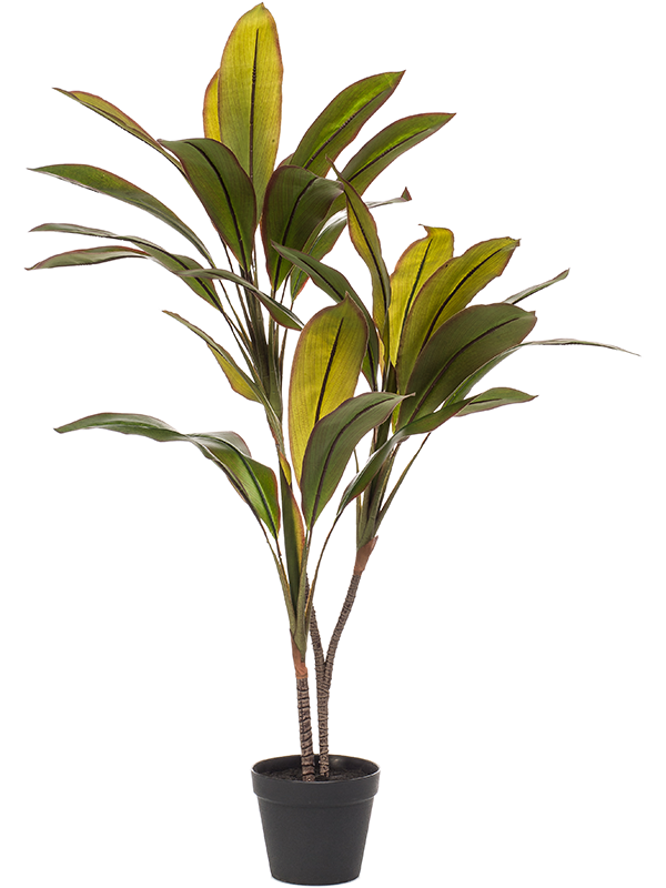 Cordyline Artificial Plant Premium Faux 105cm Height