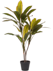 Cordyline Artificial Plant Premium Faux 105cm Height