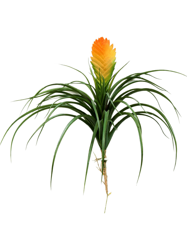 Bromelia Vriesia Artificial Plant Premium Faux 30cm Height