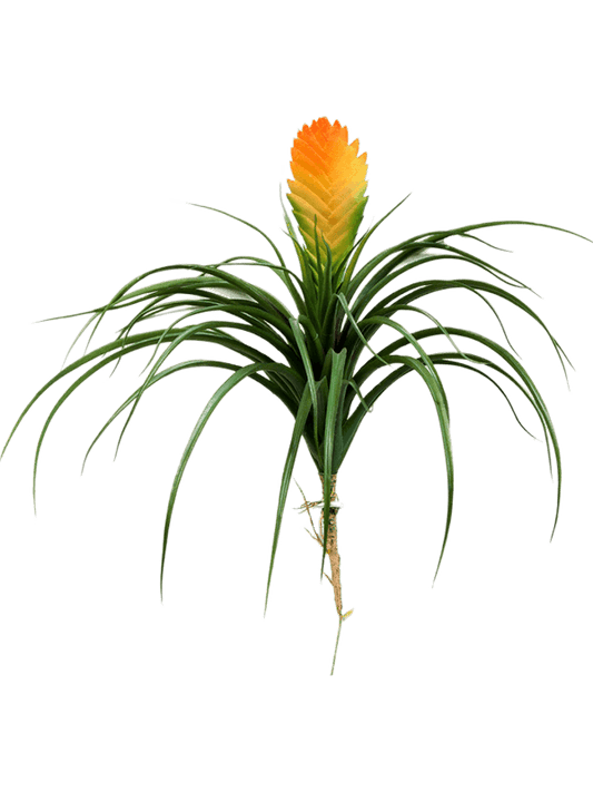 Bromelia Vriesia Artificial Plant Premium Faux 30cm Height