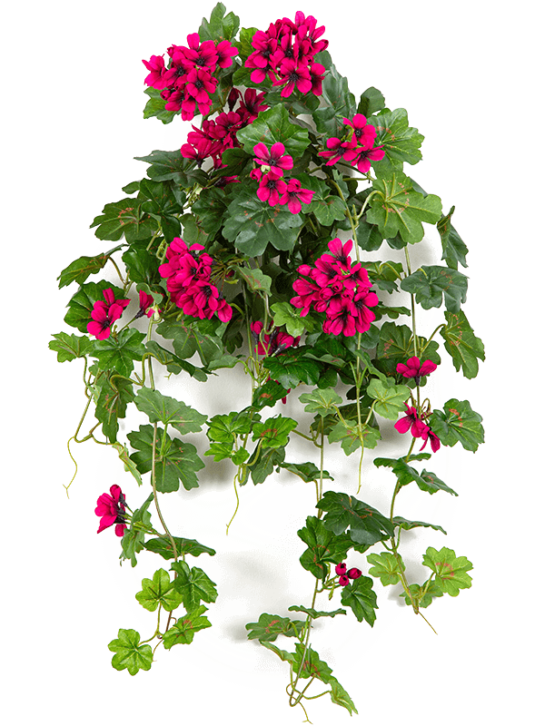 Geranium Artificial Plant Premium Faux 72cm Height