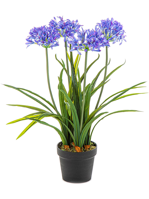 Agapanthus Artificial Plant Premium Faux 66cm Height