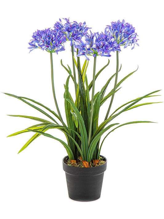 Agapanthus Artificial Plant Premium Faux 66cm Height