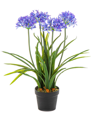 Agapanthus Artificial Plant Premium Faux 66cm Height