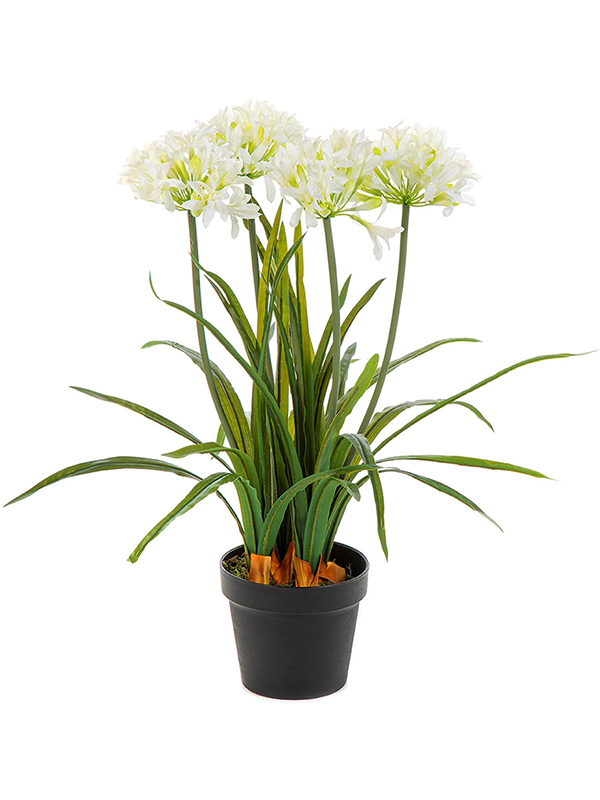 Agapanthus Artificial Plant Premium Faux 66cm Height