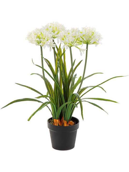 Agapanthus Artificial Plant Premium Faux 66cm Height