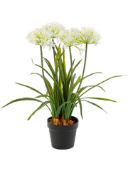 Agapanthus Artificial Plant Premium Faux 66cm Height