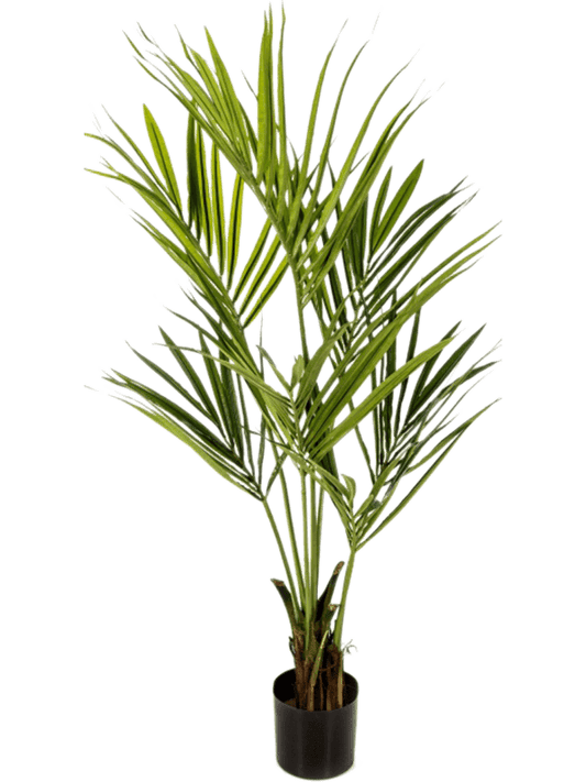 Kentia Artificial Plant Premium Faux 140cm Height