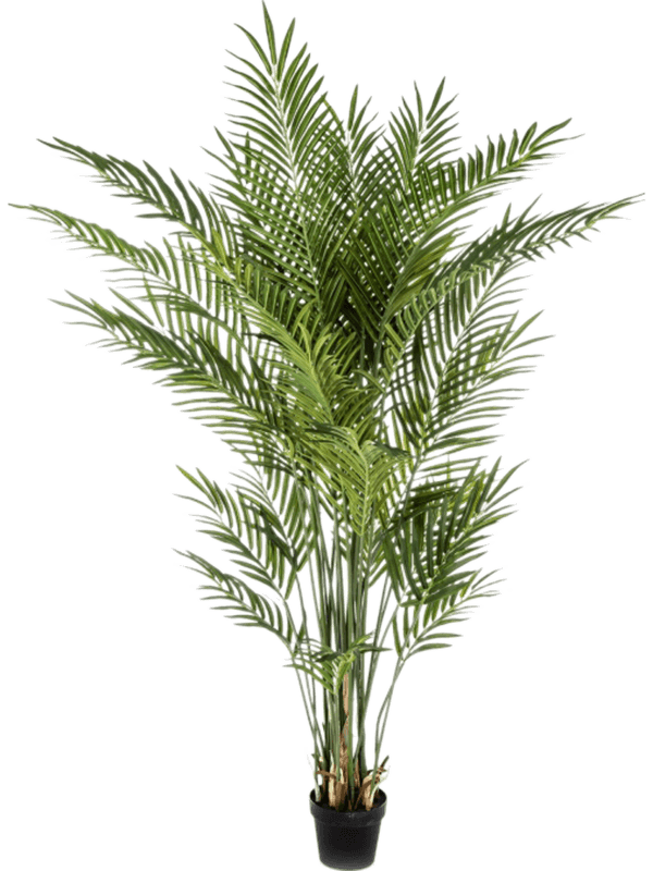 Areca Artificial Plant Premium Faux 170cm Height