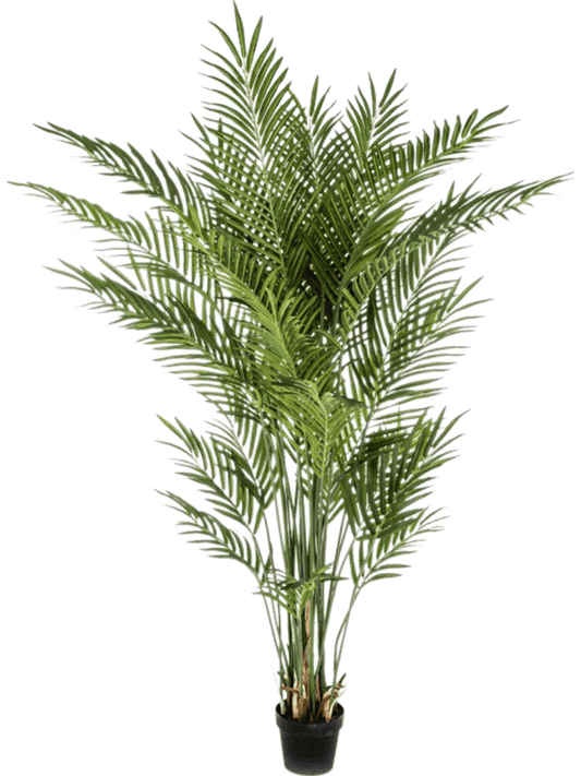 Areca Artificial Plant Premium Faux 170cm Height