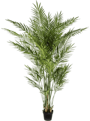 Areca Artificial Plant Premium Faux 170cm Height