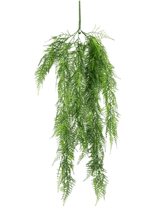 Asparagus Artificial Plant Premium Faux 75cm Height