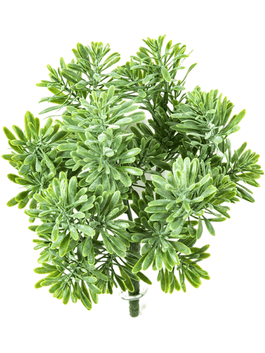 Dusty Miller Artificial Plant Premium Faux 18cm Height