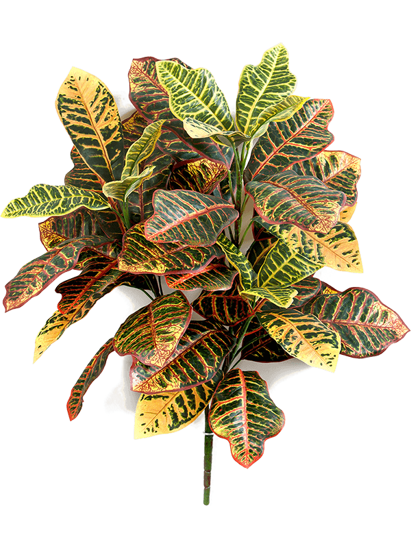 Croton Artificial Plant Premium Faux 58cm Height