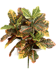 Croton Artificial Plant Premium Faux 58cm Height