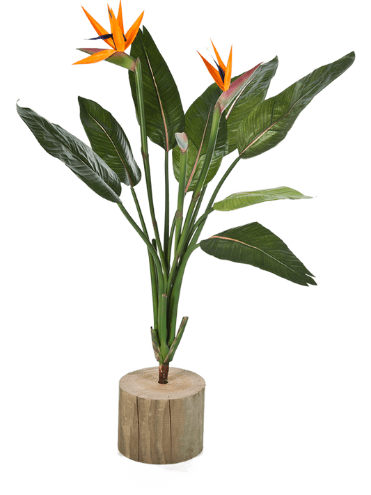 Strelitzia Artificial Plant Premium Faux 100cm Height