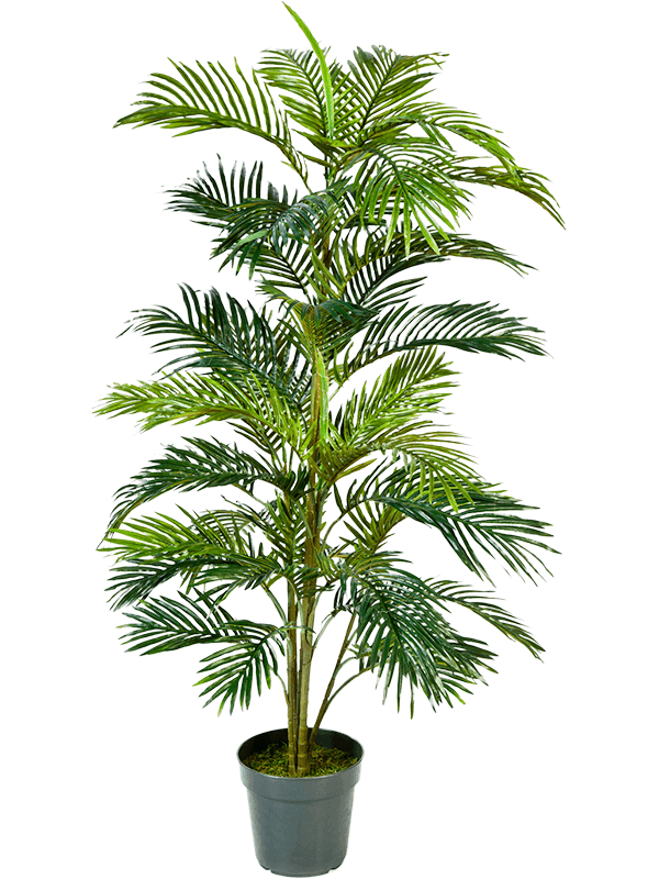 Areca Artificial Plant Premium Faux 150cm Height