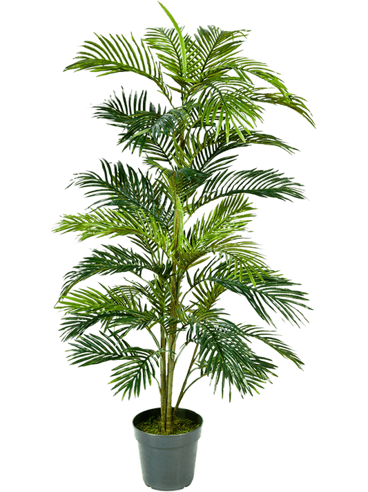 Areca Artificial Plant Premium Faux 150cm Height