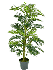 Areca Artificial Plant Premium Faux 150cm Height