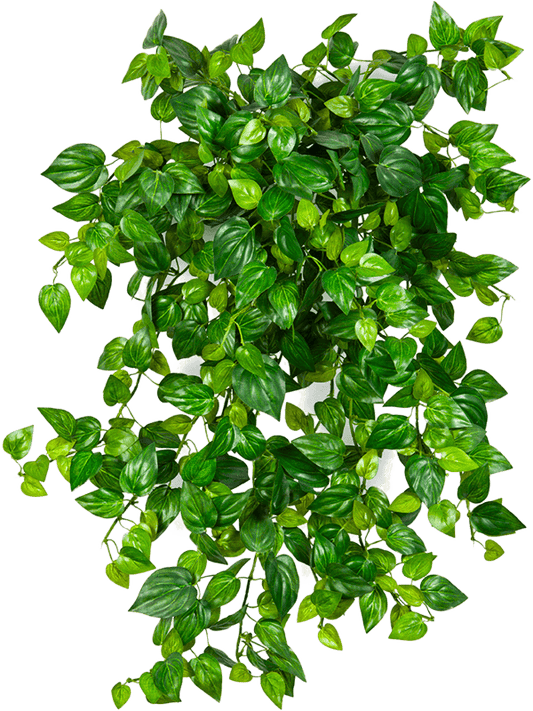 Philodendron Artificial Plant Premium Faux 50cm Height