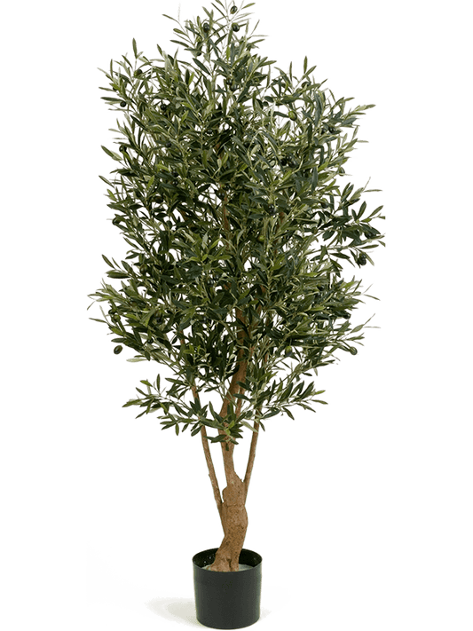 Olive Artificial Plant Premium Faux 150cm Height