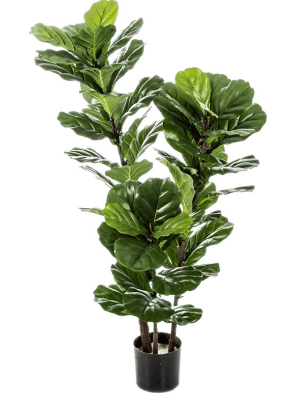 Ficus Lyrata Artificial Plant Premium Faux 130cm Height