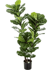 Ficus Lyrata Artificial Plant Premium Faux 130cm Height