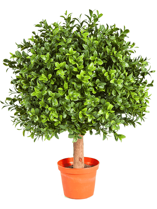 Boxwood Artificial Plant Premium Faux 45cm Height