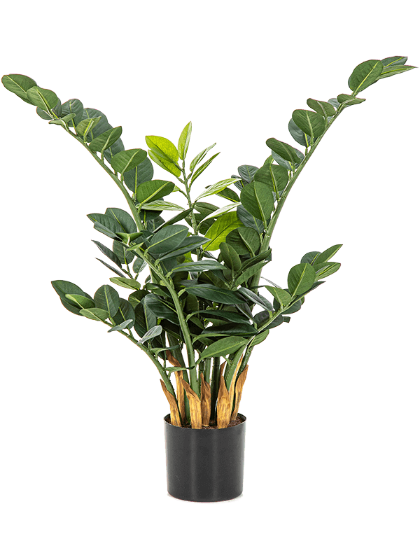 Zamioculcas Zamiifolia Artificial Plant Premium Faux 66cm Height