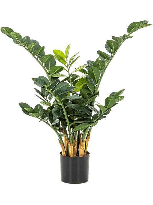 Zamioculcas Zamiifolia Artificial Plant Premium Faux 66cm Height