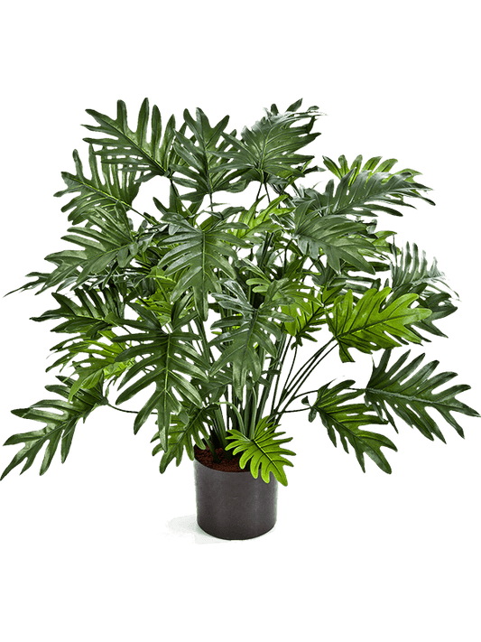 Philodendron Artificial Plant Premium Faux 75cm Height