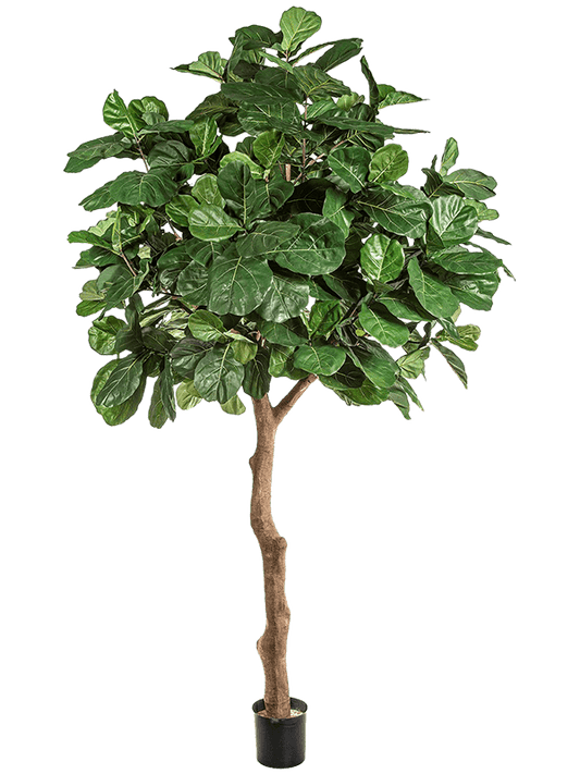 Fiddle Leaf Giant Tree Artificial Plant Premium Faux 360cm Height