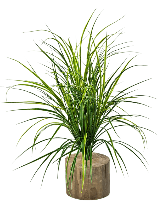 Grass Artificial Plant Premium Faux 75cm Height