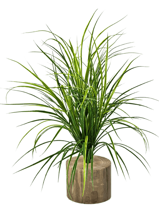 Grass Artificial Plant Premium Faux 75cm Height